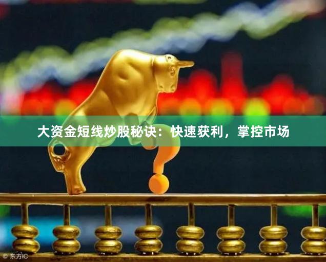 大资金短线炒股秘诀：快速获利，掌控市场