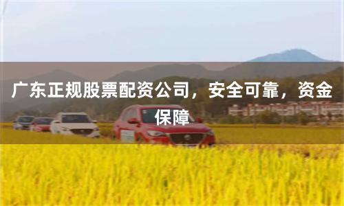 广东正规股票配资公司，安全可靠，资金保障
