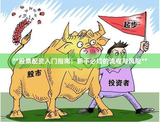 **股票配资入门指南：新手必知的流程与风险**